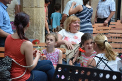 Koncert orkestrov, 20.6.2017